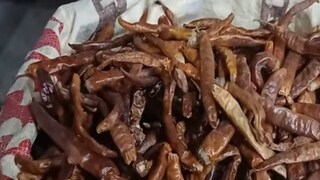 হলুদ লঙ্কাতেই রয়েছে আসল জাদুকাঠি