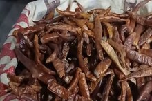 লাল-সবুজ নয়, হলুদ লঙ্কাতেই রয়েছে আসল জাদুকাঠি, নবাবদের রান্নার খাস সিক্রেট এটা