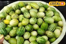 হুবহু তরমুজের মতো, কিন্তু তরমুজ নয়...! মাত্র ৩ মাসই মেলে, ভিটামিন সি-র ভাণ্ডার
