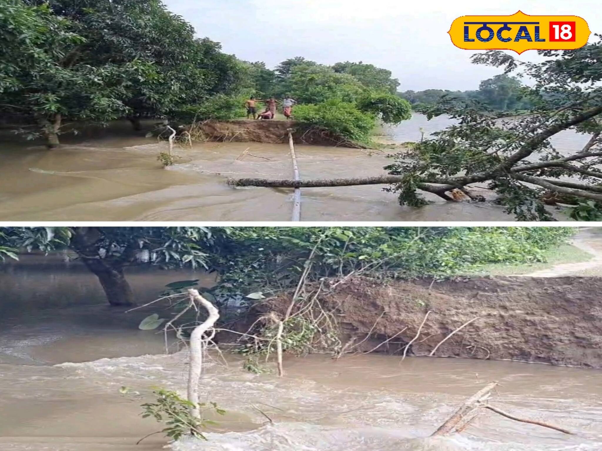 লাগাতার বৃষ্টির জেরে ফুলেফেঁপে উঠেছে পুনর্ভবা! বাঁধ ভাঙতেই জলমগ্ন বিস্তীর্ণ এলাকা!