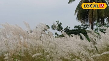 বসিরহাটে