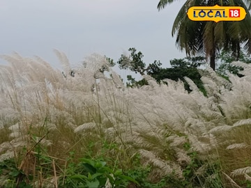বসিরহাটে