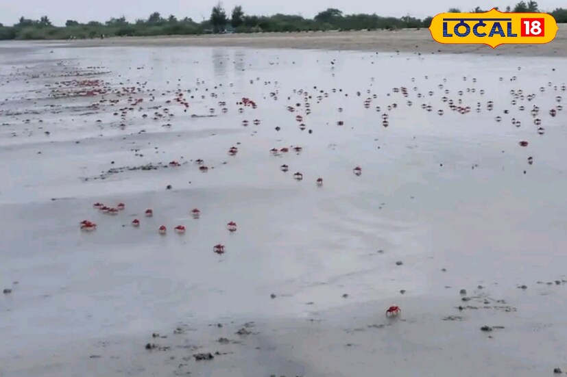 সকালে আর বিকেলে এখানে মনোরম থাকে আবহাওয়া। এখানে রাতের দিকে সমুদ্রের ধারে নোনা হাওয়ার মধ্যে মাছ ভাজা খাওয়ার মজা, দিনের বেলা খোলা সৈকতে লাল কাঁকড়া দেখার মজাই আলাদা।