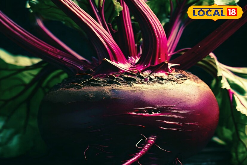 চিকিৎসক বিশ্বজিৎ সরকার জানান, বিটরুটের মধ্যে ম্যাঙ্গানিজ, ফোলেট, ভিটামিন-B12, পটাশিয়াম, ক্যালসিয়াম, ম্যাগনেশিয়াম, আয়রন, জিংক, আয়োডিন, ভিটামিন-A, ভিটামিন-B6, ভিটামিন-C,ফাইবার ও অ্যান্টি–অক্সিড্যান্ট থাকে।