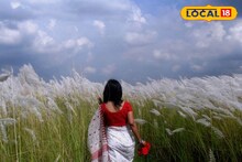 আদিগন্ত নিবিড় কাশবনে এ সব কী হচ্ছে! জানলে চমকে যাবেন