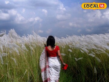 কাশফুল জঙ্গলে ফটোশুট