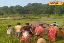 ভয়ঙ্কর! জঙ্গল ঘেঁষা গ্রামে ওটা কী! সাতসকালে জমিতে গিয়ে চমকে উঠলেন গ্রামবাসীরা