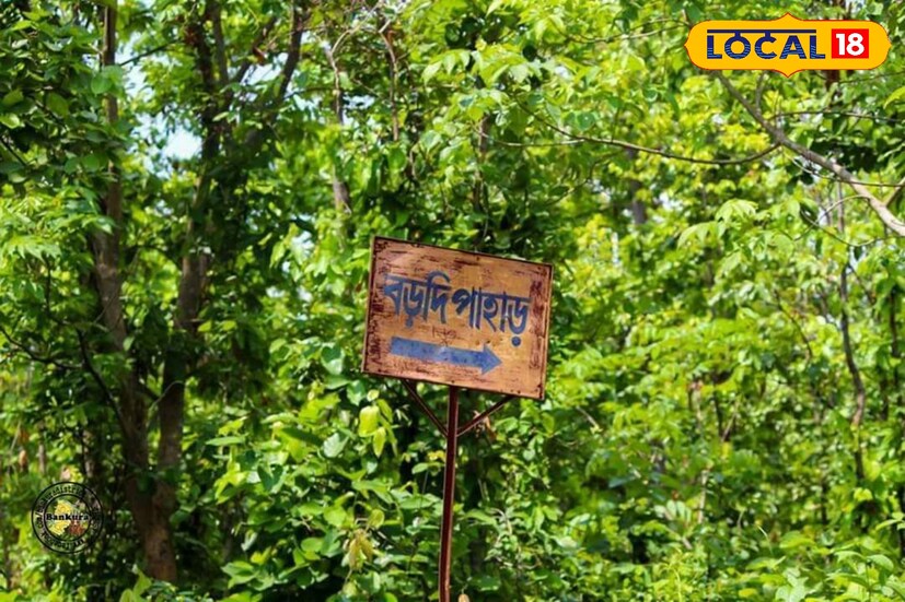 *বাঁকুড়া থেকে ধলডাঙ্গা হয়ে তালডাংরা–সিমলাপাল পেরিয়ে পিরর গাড়ি মোড় থেকে বড়দি পাহাড় খুব কাছে। বাঁকুড়া থেকে ৫০ কিমি।
