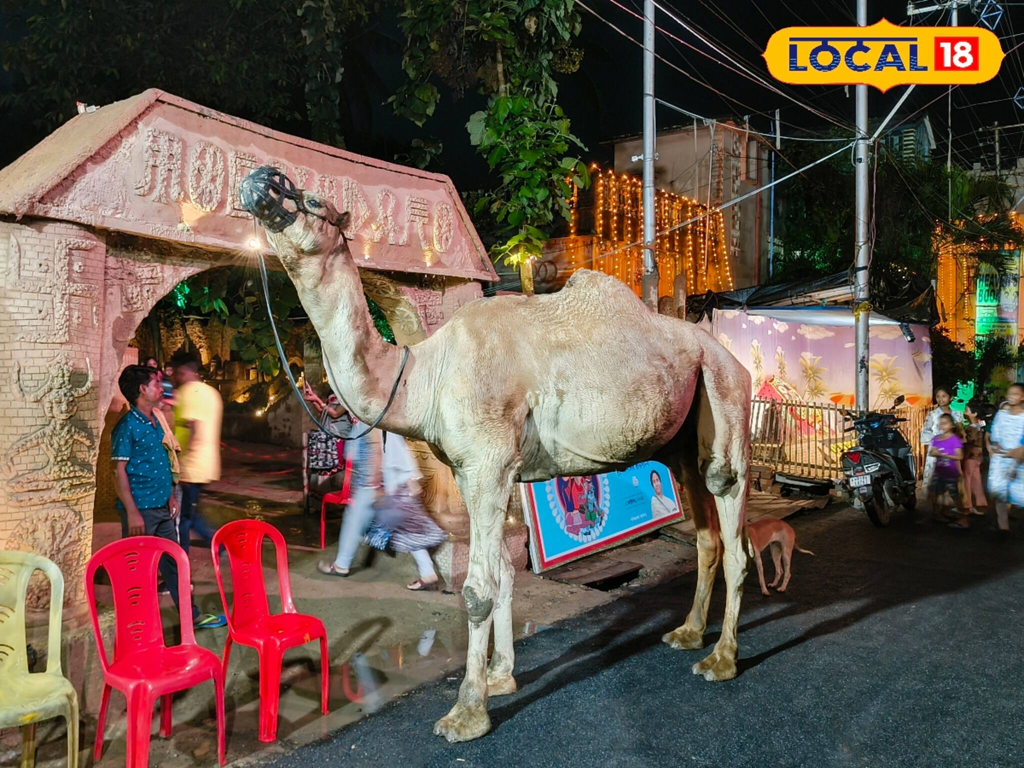 জীবন্ত উট! এই মণ্ডপ আপনাকে নিয়ে যাবে সিন্ধু সভ্যতার হরপ্পা মহেঞ্জোদাড়োয়