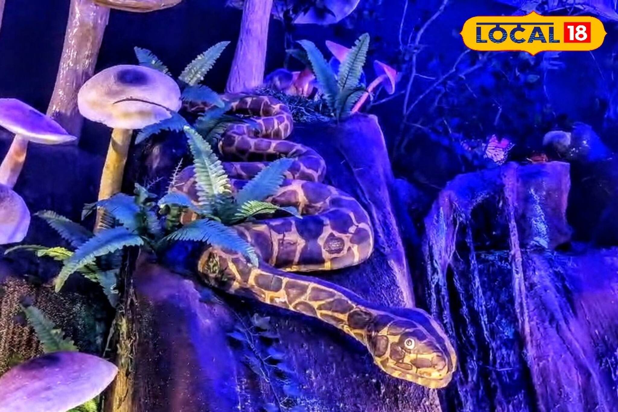 শিশুদের আলাদা গুরুত্ব! পুজো মণ্ডপে দৌড়ে বেড়াচ্ছে ছোট ছোট ছেলেমেয়েরা