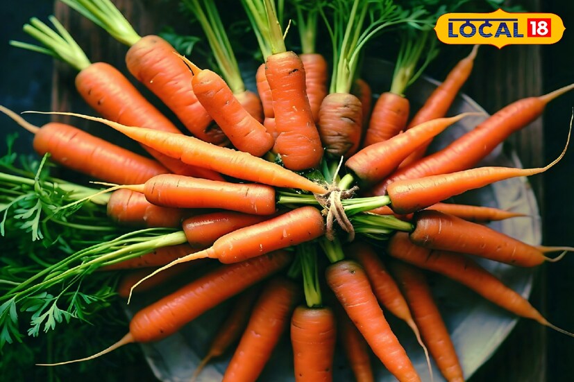 দুর্গা পুজোয় কমবেশি সকলেই শরীরের খেয়াল রেখে থাকেন। তাই এই সময় ছোট থেকে বড় সব বয়সিদের ডায়েটে এই বিশেষ জিনিস রাখা অত্যন্ত প্রয়োজন।