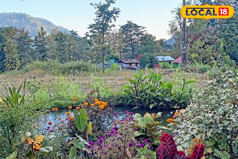 হওয়া অফিসের পূর্বাভাস অনুযায়ী,আগামী সাতদিন উত্তরের সবকটি জেলায় হালকা থেকে মাঝারি বৃষ্টির সম্ভাবনা রয়েছে। যদিও তাপমাত্রার খুব একটা হেরফের হবে না।