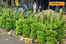 এই হাটে মেলে কেবল একটি মাত্র ফল! তা কিনতেই প্রচুর ভিড়