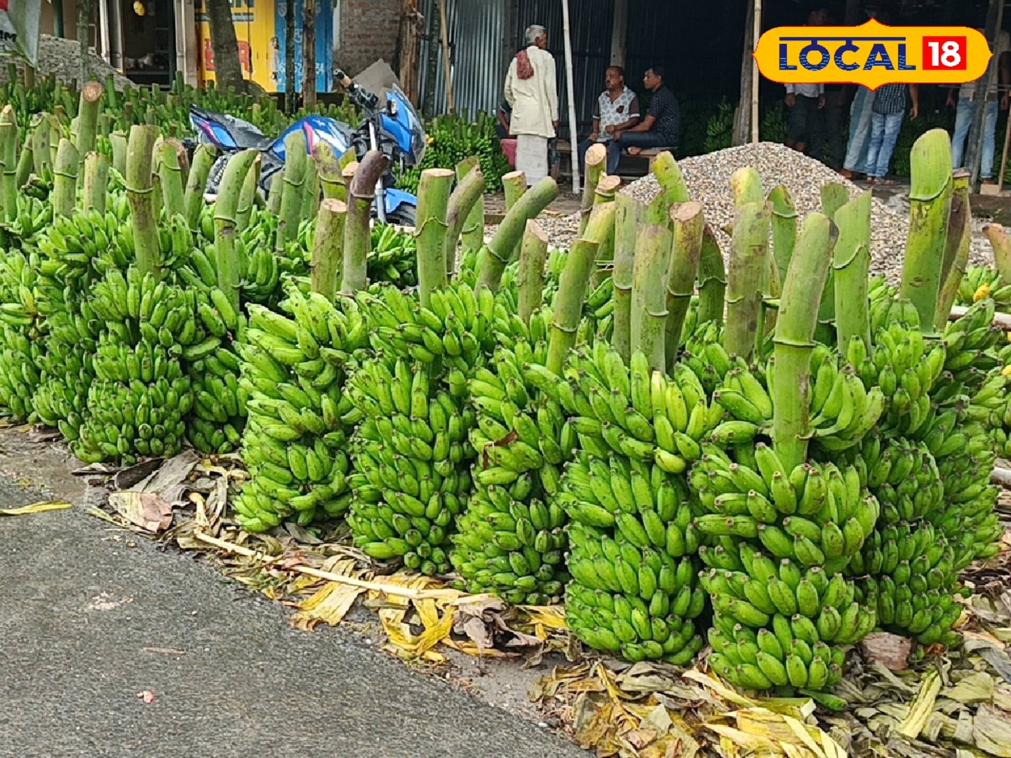 এই হাটে মেলে কেবল একটি মাত্র ফল! তা কিনতেই প্রচুর ভিড়