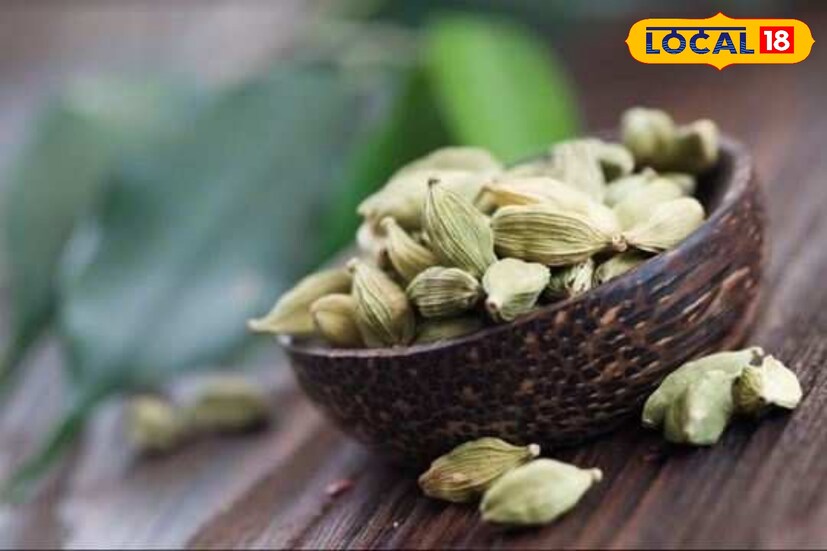 এলাচ পেটের নানা সমস্যা এবং হজমের সমস্যা থেকে মুক্তি দিতে পারে। গরমে কমবেশি সকলেই হজমের সমস্যায় ভোগেন। এলাচ বিপাকতন্ত্রকে সক্রিয় রাখে এবং হজমে সাহায্য করে। গরমে বুক জ্বালা, বমি বমি ভাব থেকে মুক্তি পেতে এলাচ মুখে দিন।