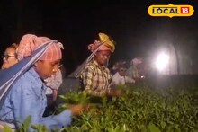 ডুয়ার্সে চাঁদের আলোতে যে কাজ হয়, দেখতে পূর্ণিমার রাতে ভিড় জমান অনেকে