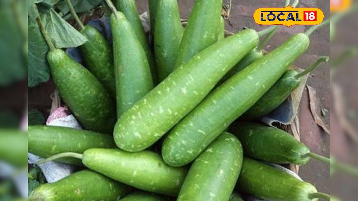 Health benefits of bottle gourd ঝরঝরিয়ে ঝরবে মেদ, লিভার থাকবে সুস্থ