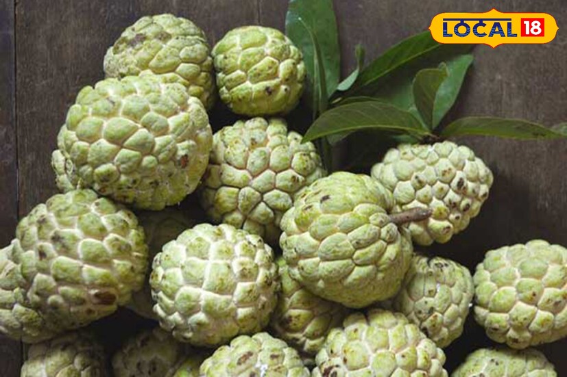 আতায় ক্যালরির পরিমাণ অনেক বেশি। যার কারণে এটি খেলে আপনি প্রচুর শক্তি বা এনার্জি পাবেন। এছাড়াও এতে রয়েছে প্রচুর পরিমাণে পটাসিয়াম, যা পেশী দুর্বলতা কাটাতে এবং রক্ত সঞ্চালনের জন্য খুবই উপকারী বলে মনে করা হয়। আতায় ক্যালরির পরিমাণ অনেক বেশি। যার কারণে এটি খেলে আপনি প্রচুর শক্তি বা এনার্জি পাবেন। এছাড়াও এতে রয়েছে প্রচুর পরিমাণে পটাসিয়াম, যা পেশী দুর্বলতা কাটাতে এবং রক্ত সঞ্চালনের জন্য খুবই উপকারী বলে মনে করা হয়।