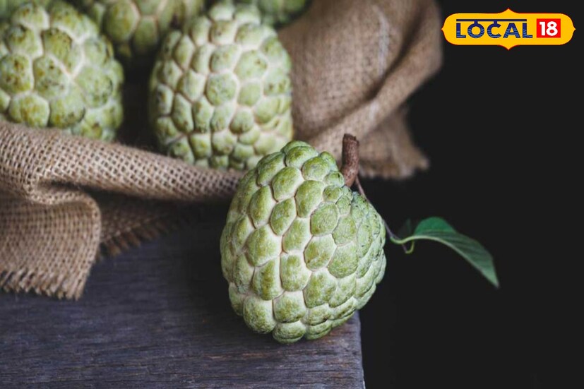 ডায়াবেটিস রোগীরা যদি সীমিত পরিমাণে আতা খান তবে এটি তাদের জন্য খুব উপকারী প্রমাণিত হতে পারে। আতা লাইপোফেনলিক অ্যান্টিঅক্সিডেন্ট সমৃদ্ধ। এটি ইনসুলিনের আরও উৎপাদন এবং গ্লুকোজ শোষণে সহায়তা করে, যার ফলে সুগারের মাত্রা নিয়ন্ত্রণে থাকে। 