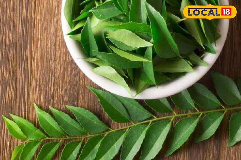 চুল পড়া কমাতে, চুলের অকালপক্কতা আটকাতে অত্যন্ত গুরুত্বপূর্ণ এই কারি পাতা। শুধু তাই নয়, ত্বকের স্বাস্থ্যের জন্যও উপকারী। 