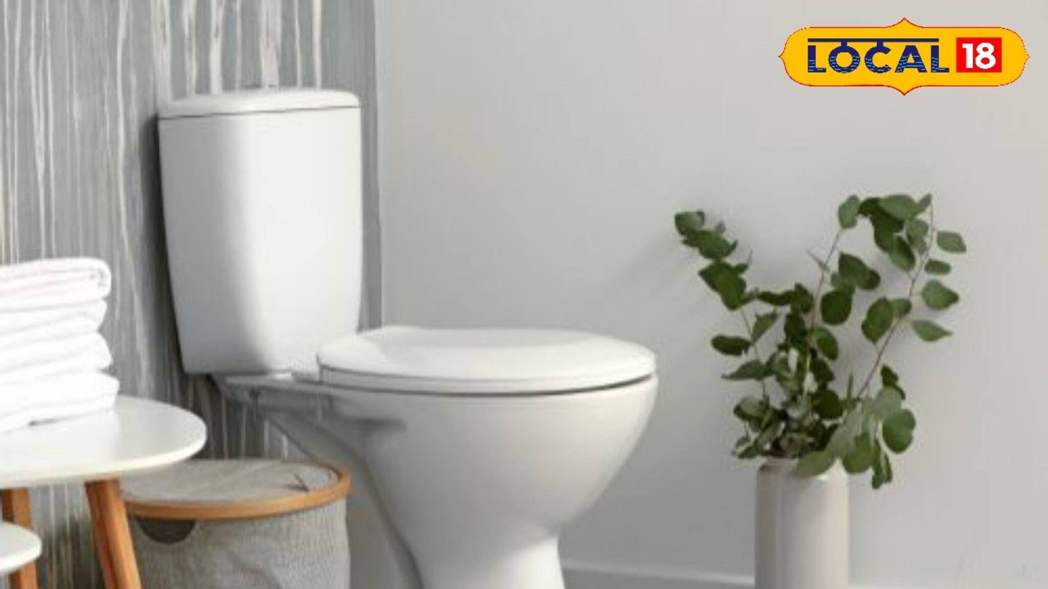 ভুলেও বাথরুমে এই জিনিসগুলি রাখবেন না! আর্থিক সংকটে জেরবার হবে জীবন