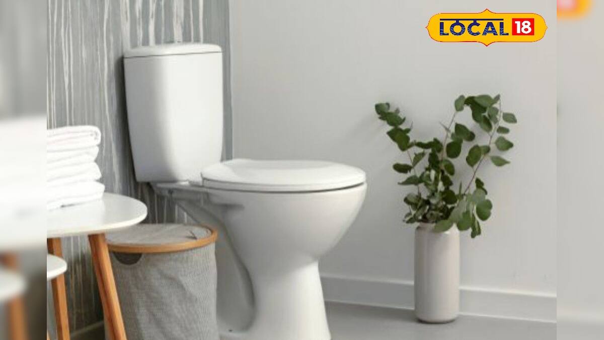 Bathroom Vastu Tips ভুলেও বাথরুমে এই জিনিসগুলি রাখবেন না! আর্থিক সংকটে