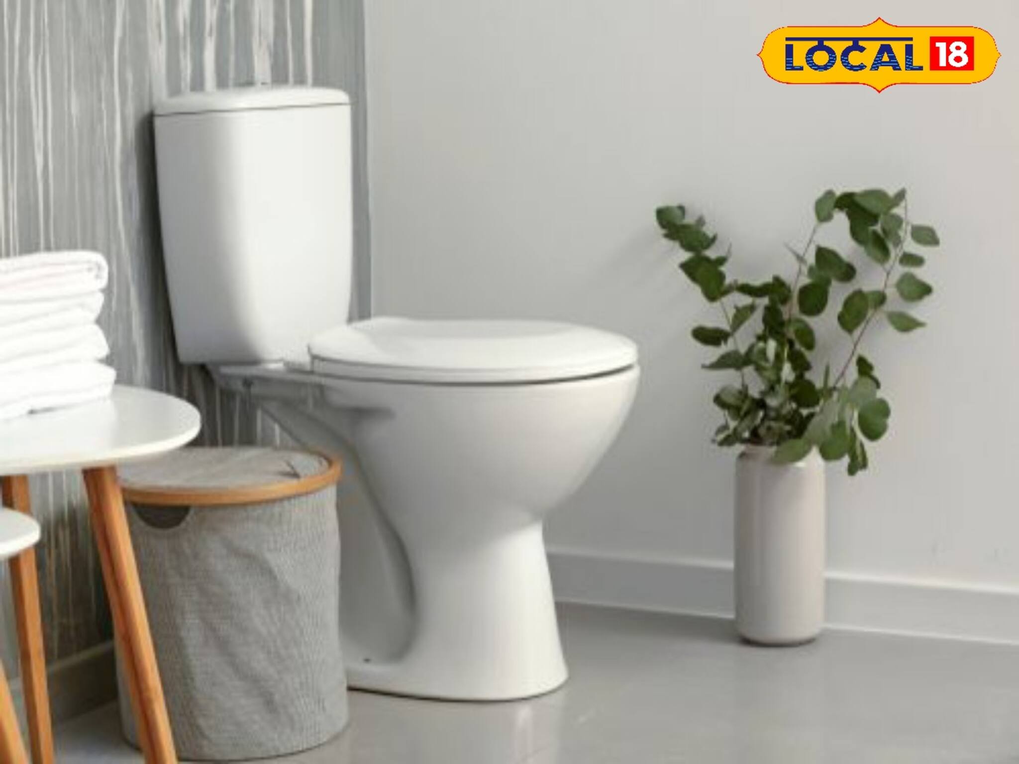 ভুলেও বাথরুমে এই জিনিসগুলি রাখবেন না! আর্থিক সংকটে জেরবার হবে জীবন