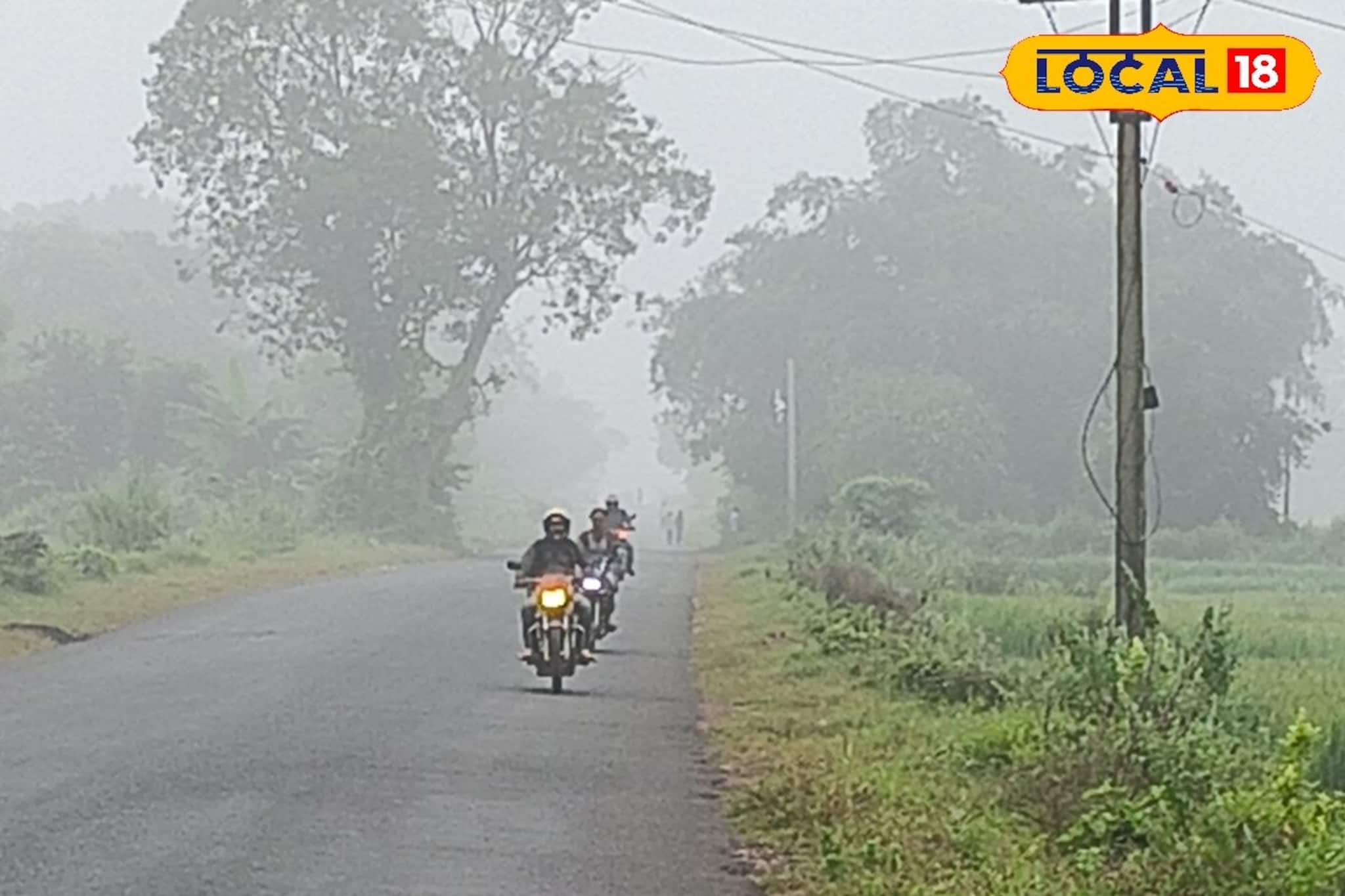 শীতের আগেই শীত? আচমকা কুয়াশাচ্ছন্ন জঙ্গল দেখে প্রশ্ন গ্রামবাসীদের, কোথায়?