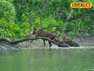 ছবি প্রতীকী 