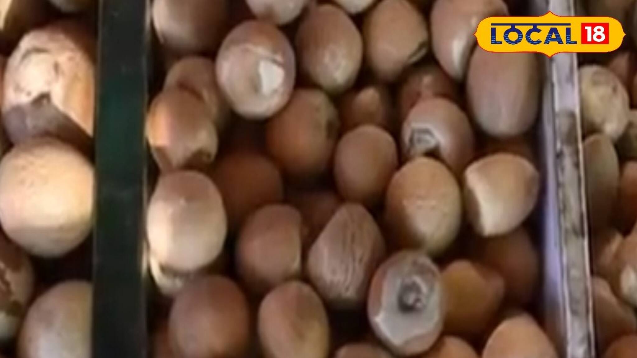 একবার বিনিয়োগে ৭০ বছর লাভ, লক্ষ লক্ষ টাকা আয়ের সুযোগ! কী করতে হবে?