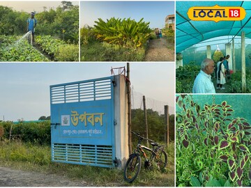 East Bardhaman News: মিশর হোক বা বাংলাদেশ, বিদেশি সব গাছ এবার মিলবে হাতের মুঠোয়! ছুটে যান এই নার্সারিতে