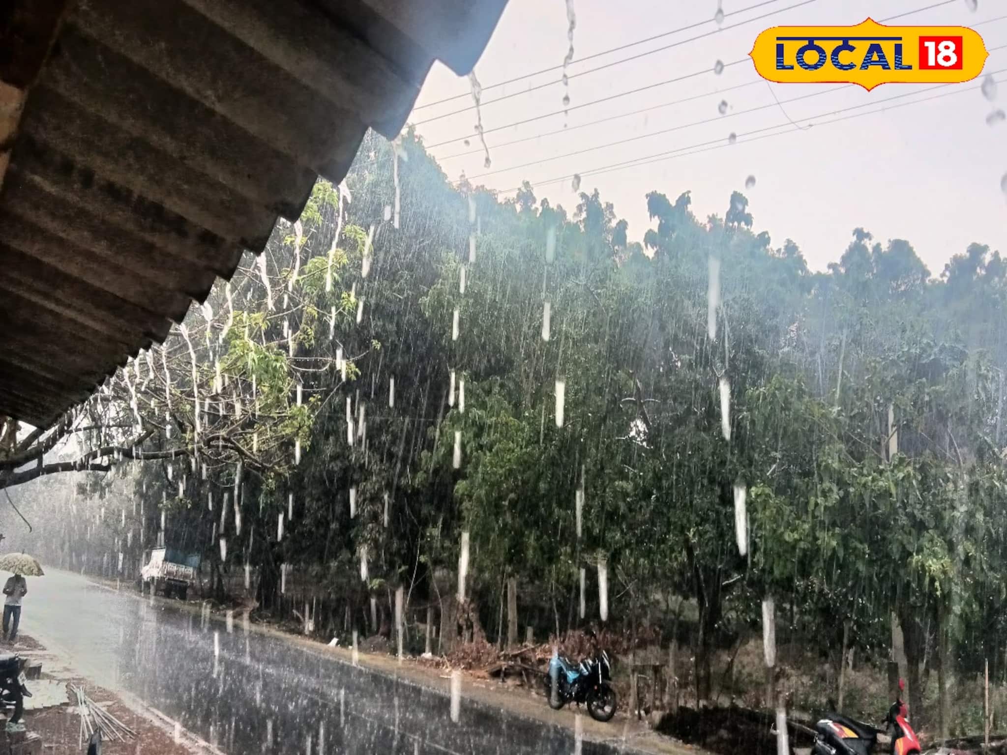 'দানা'-র জেরে নিম্নচাপের বৃষ্টি শুরু, কোথায় কোথায় বেশি বৃষ্টি? আবহাওয়ার বড় খবর