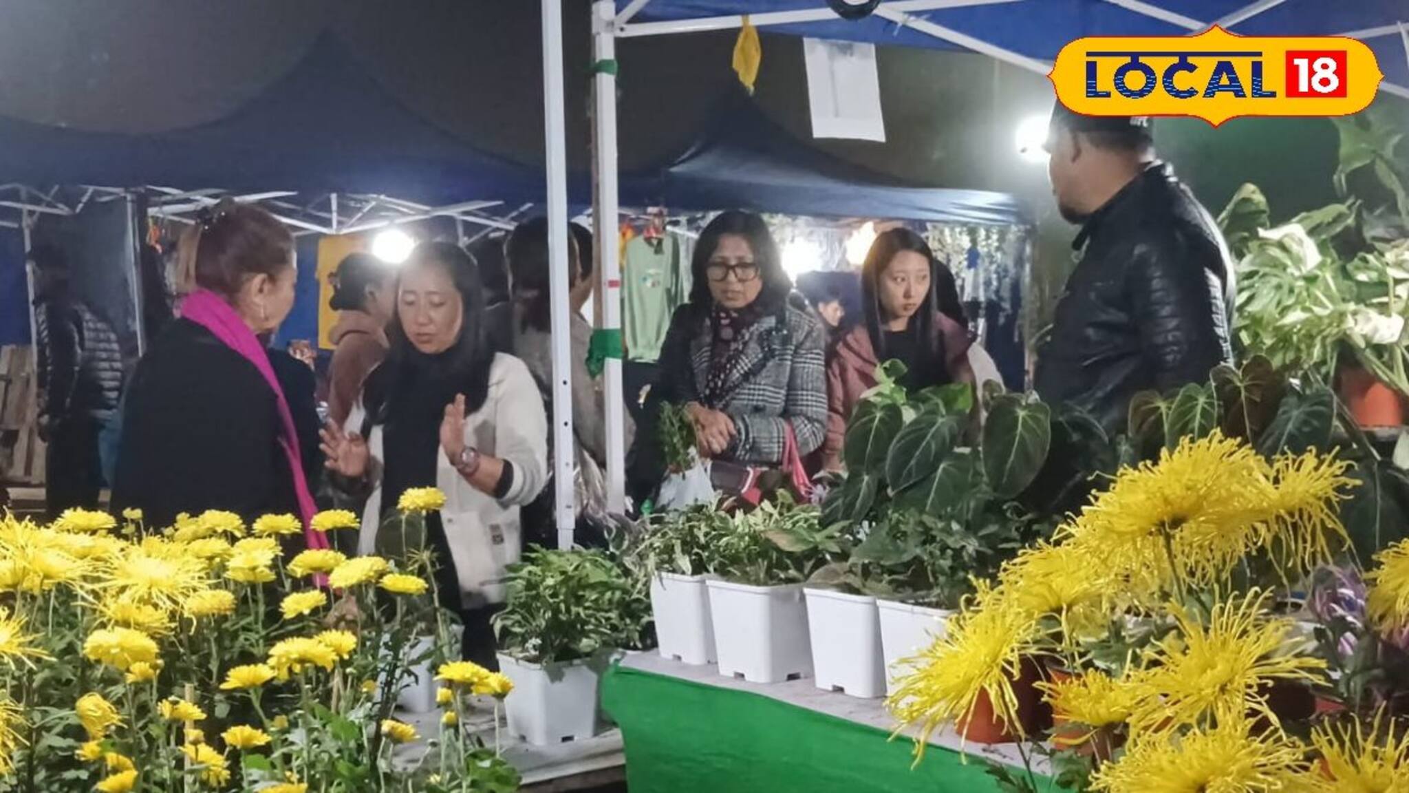 ঘোরার মজা হবে দ্বিগুণ! হালকা শীত পড়তেই পর্যটকদের জন্য পাহাড়ে নতুন চমক