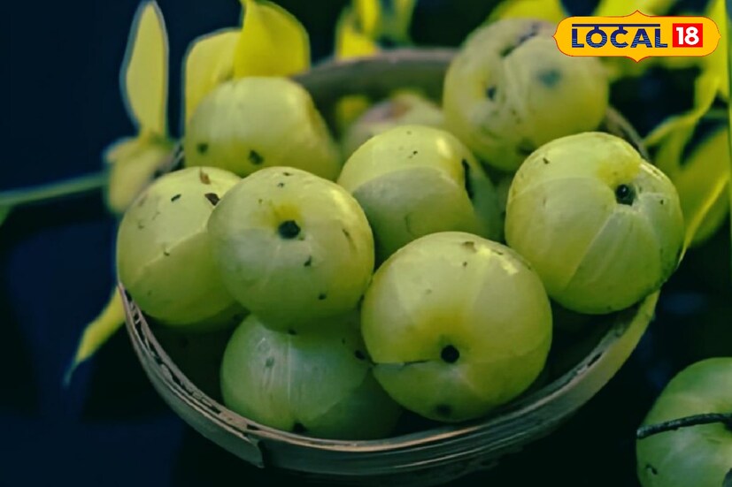 আমলকিতে থাকা ভিটামিন-C ও ফ্লাভোনওয়েড মুখের এবং জিভের আলসারের সম্ভাবনা অনেকটাই কমিয়ে দেয়।