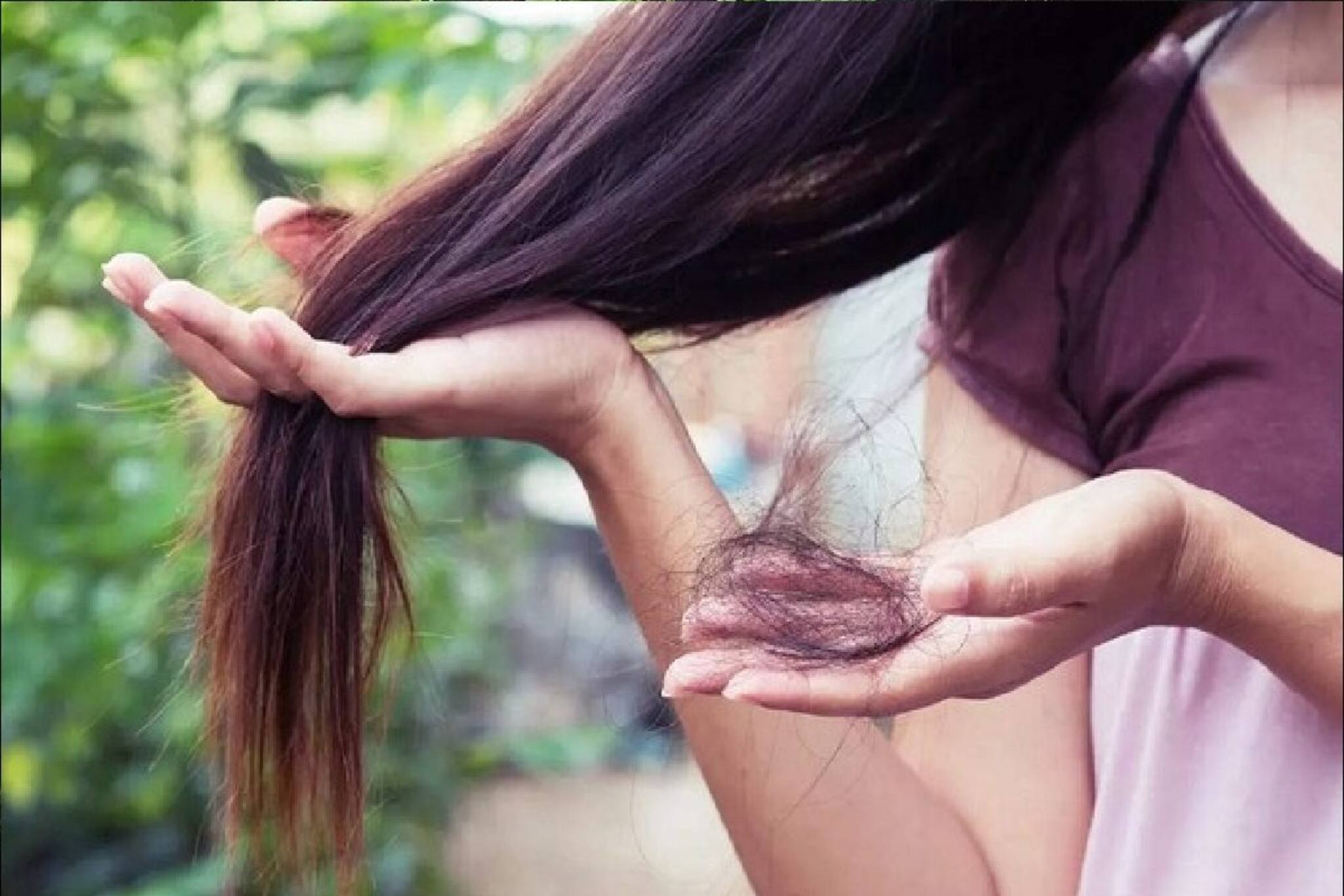 শীত-গ্রীষ্ম বা বর্ষা, গোছা গোছা চুল উঠছে? রোজের পাতে রাখুন এই ৬ খাবার, ফল মিলবেই