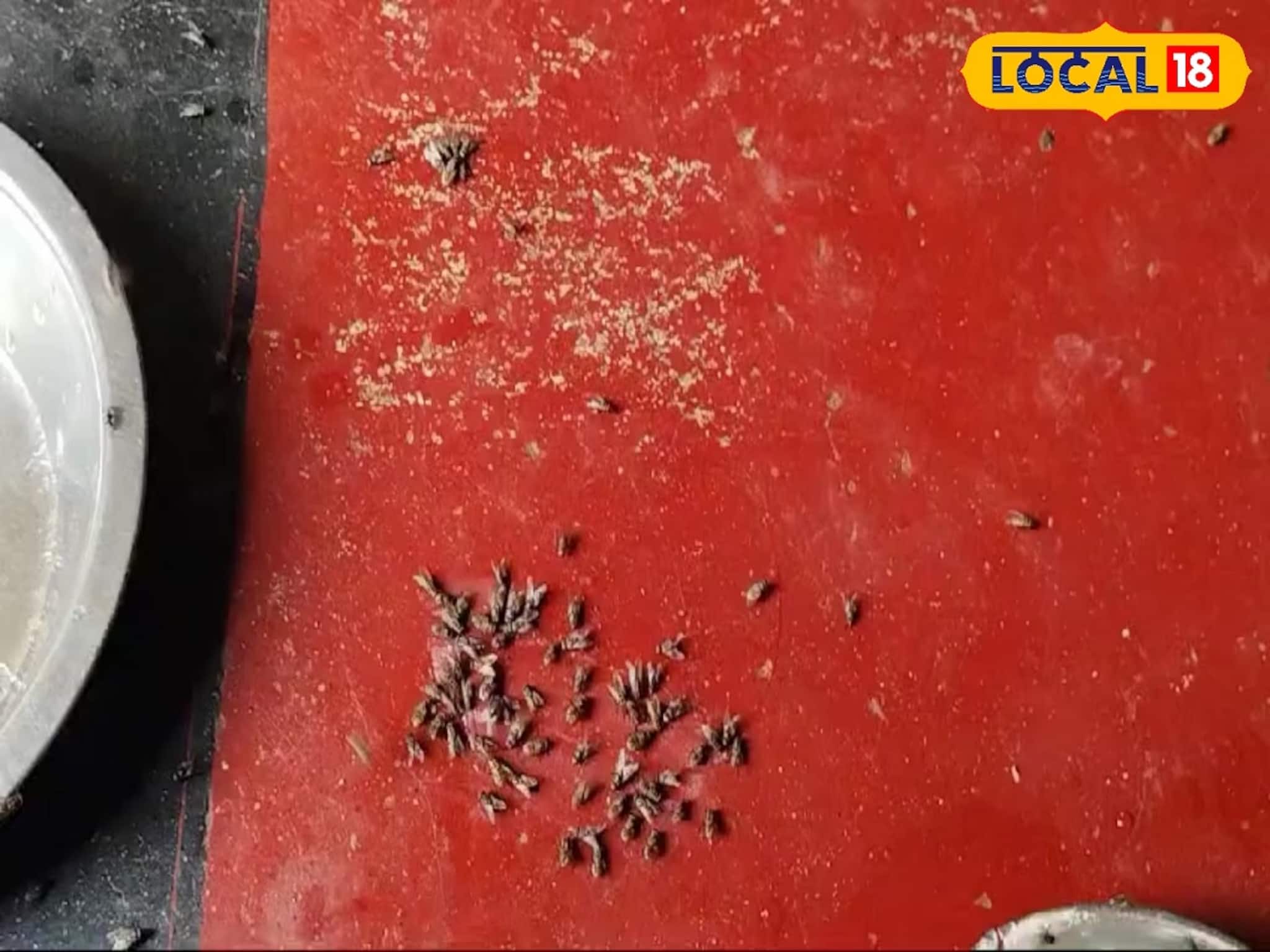 গোটা গ্রাম জুড়ে অতিথি আসা বন্ধ!বিয়ে হচ্ছে না কোনও মেয়ের!কারণ শুনলে চমকে যাবেন