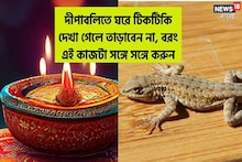 আসছে বিরাট বদল! দীপাবলিতে ঘরে টিকটিকি এলে কীসের লক্ষণ? জানলে চমকে উঠবেন!