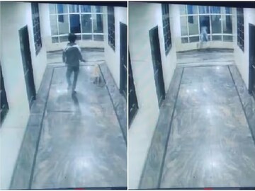 কুকুর তাড়াতে গিয়ে মর্মান্তিক পরিণতি! হোটেলের তিনতলা থেকে পড়ে মৃত্যু ২৩ বছরের যুবকের