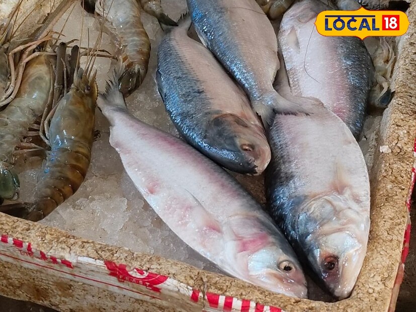 কোচবিহার: মাছের রাজা ইলিশ। বাঙালির অত্যন্ত প্রিয় এই মাছ। উৎসবের মরসুম ইলিশ মাছ ছাড়া কেমন জানি না অসম্পূর্ণ। দীপাবলির আলোর উৎসব ইতিমধ্যেই সম্পন্ন হয়েছে। বাঙালি এবার মেতে উঠবে ভাইফোঁটার আনন্দ উৎসবে। তবে এবার ভাইদের পাতে আদৌ সুস্বাদু পদ্মার ইলিশের পদ দেখতে পাওয়া যাবে কি?