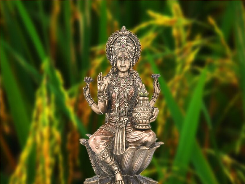 *লক্ষ্মীপুজোর দিন উত্তর-পূর্ব কোণে মা লক্ষ্মীর বেদি প্রতিষ্ঠা করুন। মূর্তি স্থাপন অবশ্যই পূর্ব দিকে মুখ করে করবেন এবং লক্ষ্মীপুজোর সময় যে পুরোহিত আসবেন তাঁকে উত্তর দিকে পিঠ করে বসান। ফাইল ছবি। 