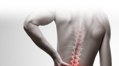 কোমর, পিঠে খুব যন্ত্রণা! সহজ এই ৫টি টিপস মেনে চললেই ফিরে পাবেন হারানো দিন, জানুন ডাক্তারের পরামর্শ... কোমর, পিঠে খুব যন্ত্রণা! সহজ এই ৫টি টিপস মেনে চললেই ফিরে পাবেন হারানো দিন, জানুন ডাক্তারের পরামর্শ...