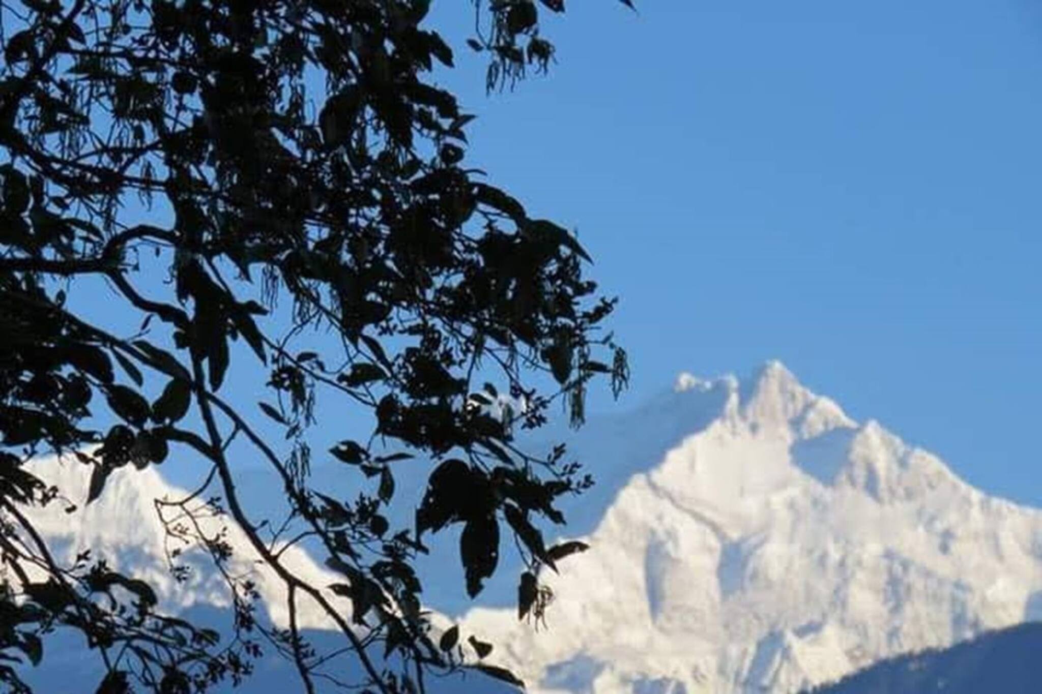 উত্তরে ফের বৃষ্টির অশনি-সঙ্কেত! শীতের মারণ কামড়ে কবে থেকে ফালাফালা হবে উত্তর?
