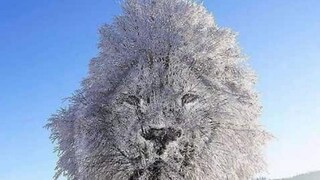 Photo Credit: Mia Yilin/TIKTOK