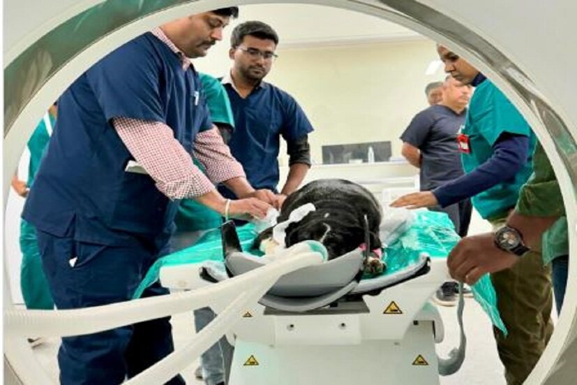 গত জুলাই মাসেই মুম্বাইয়ে পাঁচ তলা এই পশু হাসপাতালের উদ্বোধন করা হয়৷ এই হাসপাতালে একসঙ্গে দুশো পশুকে ভর্তি রেখে চিকিৎসা করা সম্ভব৷ 