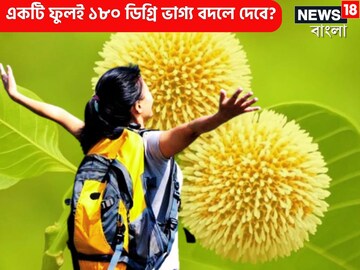 একটি গাছই ঘুরিয়ে দেবে ভাগ্য! ফুল ভরিয়ে দেবে, অপূর্ণতাই পূরণ করবে, জীবন সুন্দর