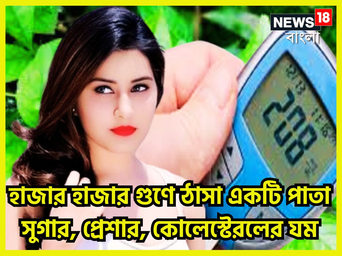 সারা পৃথিবী জুড়েই সুগার, প্রেশার ও কোলেস্টেরল-সহ এমন বেশ কিছু রোগ আছে যা দিনের পর দিন বাড়তে শুরু করেছে, রীতিমত চাপে সাধারণ মানুষ ৷ প্রতীকী ছবি ৷