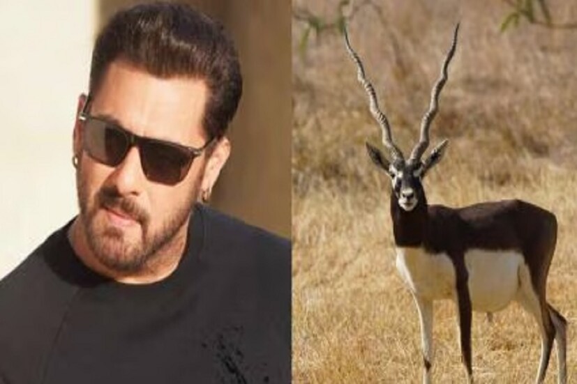 তবে কঙ্কনি গ্রামের ঘটনাটিতে প্রত্যক্ষদর্শীরা আদালতে জানিয়েছেন যে, গুলির আওয়াজ শুনে তাঁরা ঘটনাস্থলে পৌঁছেছিলেন। তাঁরা দাবি করেন যে, জিপে সলমনের সঙ্গে ছিলেন সইফ, নীলম, সোনালি এবং টাবু। তাঁরা সলমনকে উস্কে দিচ্ছিলেন। গ্রামবাসীদের দেখে হরিণের মৃতদেহ রেখে দিয়েই গাড়ি নিয়ে পালিয়েছিলেন সলমন। এদিকে আদালতে মামলার শুনানি শুরু হতেই অবশ্য নিজেদের বয়ান বদলে সেই সাক্ষীরা জানান যে, ওই ঘটনার বিষয়ে তাঁদের কিছু মনে নেই। যার জেরে কৃষ্ণসার হরিণ হত্যায় মুক্তি পান অভিনেতা। 