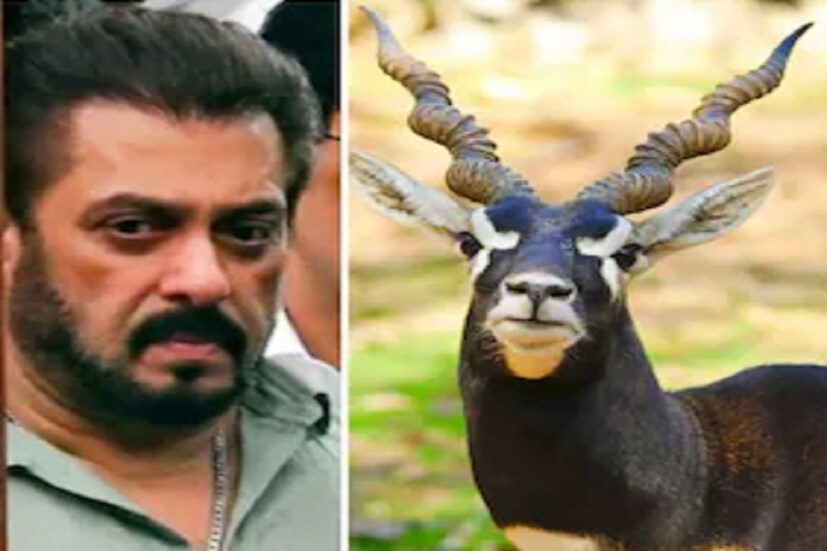 চলতি বছরের শুরুতেই সলমনকে খুনের চেষ্টা হয়। অভিনেতার বাড়ির সামনে গুলি চলে। এরপর গত সপ্তাহে সলমন ঘনিষ্ঠ এনসিপি নেতা বাবা সিদ্দিকিকে গুলি করে খুন করে বিষ্ণোই গ্যাং। এবার ফের খুনের হুমকি। 