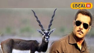 শুধু এই কাজ করতে হবে সলমন খানকে, তাহলেই কি ক্ষমা করে দেবে বিষ্ণোই সমাজ