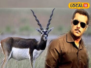 শুধু এই কাজ করতে হবে সলমন খানকে, তাহলেই কি ক্ষমা করে দেবে বিষ্ণোই সমাজ